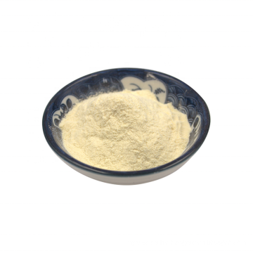 Highly active probiotics supplements powdered lactobacillus fermentum